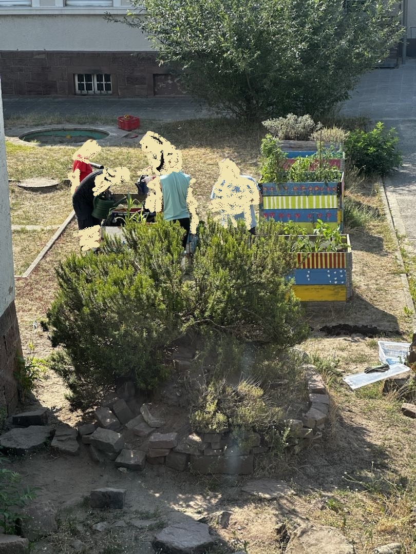 Gruppe von Schülern und Schülerinnen gestaltet mehrere Hochbeete und eine Steinmauer; ein großer Baumstrauch ist sichtbar.